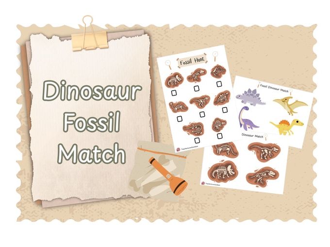 Dinosaur Fossil Match