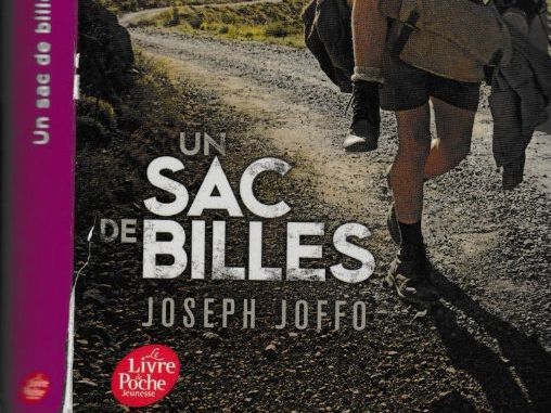 Un sac de billes Chapters 5 and 6 Comprehension and summaries