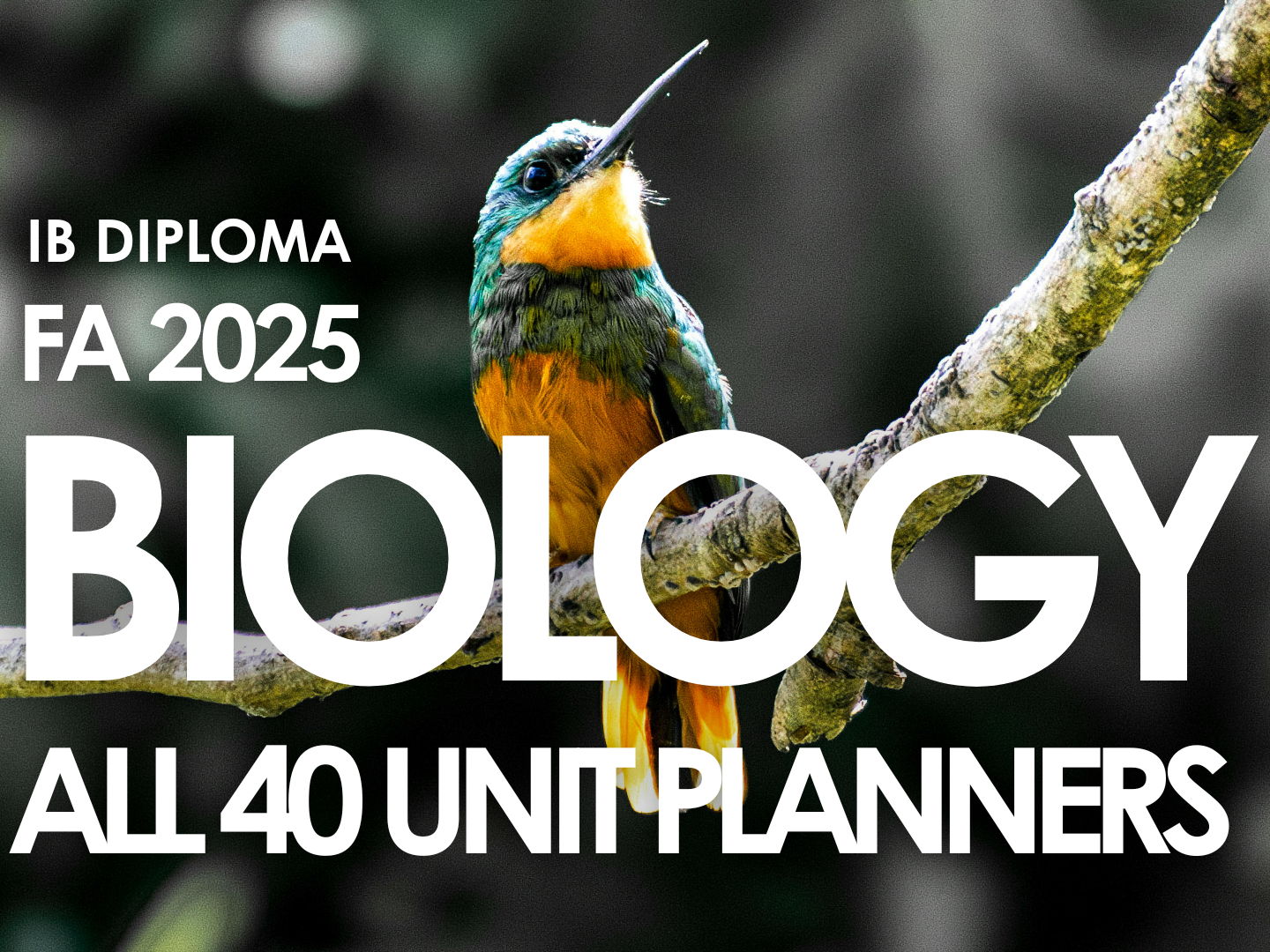 IBDP Biology Complete 40 Unit Planners Bundle | Themes A–D | First Assessment 2025 | SL & HL |
