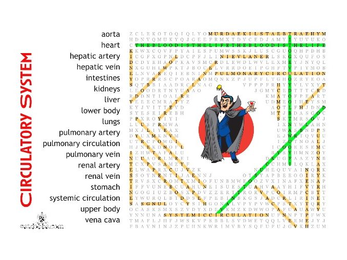 circulatory system label it and wordsearch
