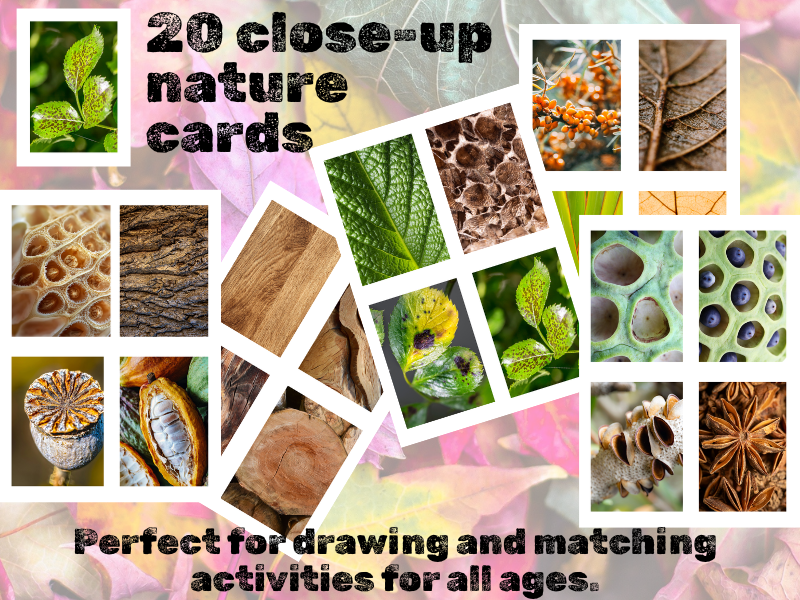 Set of 20 nature images