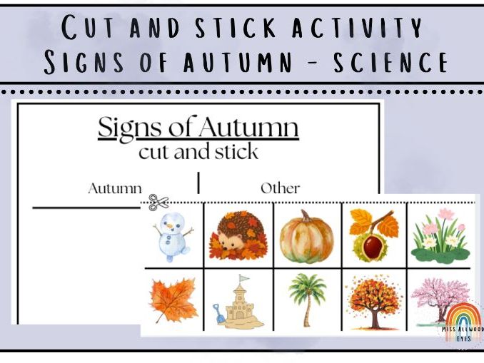 2D and 3D shapes Cut and Paste Sorting Activity | Maths