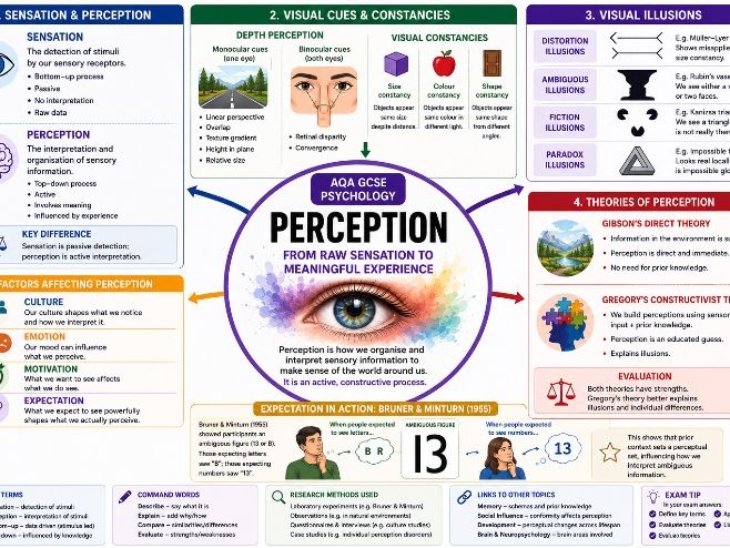 AQA GCSE Psychology – Perception