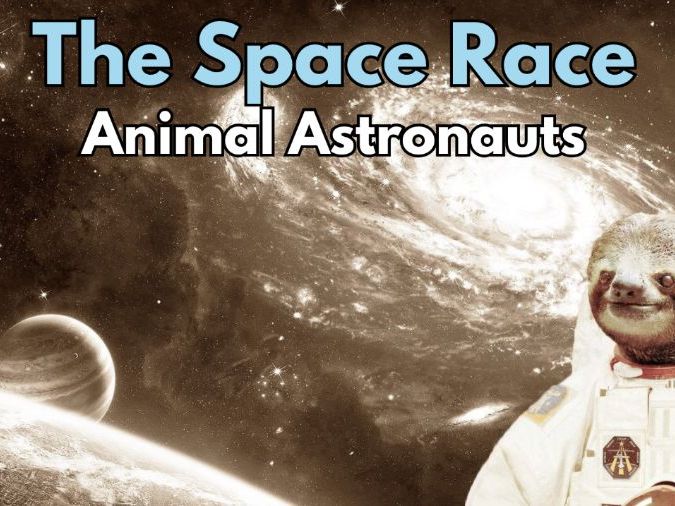 Space - Animals In Space