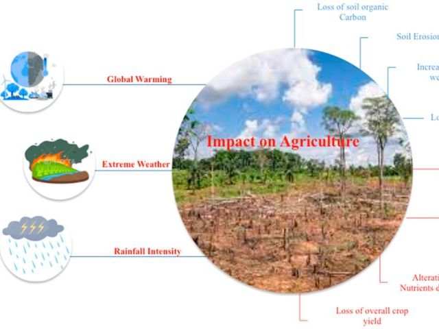 Cambridge A Level Geography - 7.4 Changes and challenges in tropical ...
