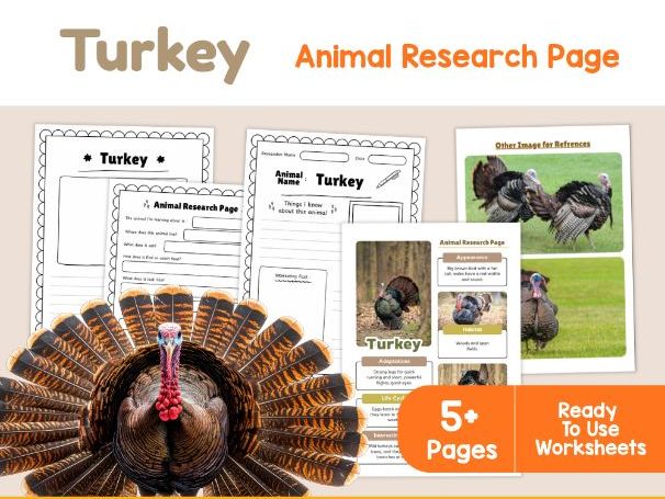 Turkey Animal Research Page | Farm Birds Science Worksheets