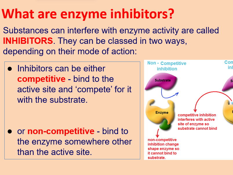 AQA A level Biology. Enzyme inhibition (3.1.4.2)