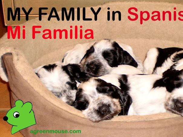 My Family in Spanish - Mi Familia
