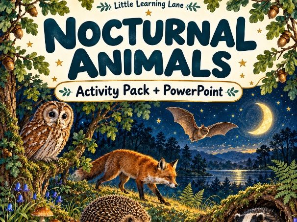 Nocturnal Animals EYFS & KS1 Activities and PowerPoint