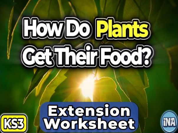 Plant Nutrition - KS3 Biology Extension Pack