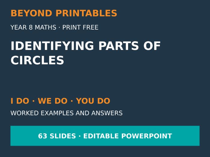 Identifying Parts of Circles | I Do, We Do, You Do | Year 8 Maths | Print Free
