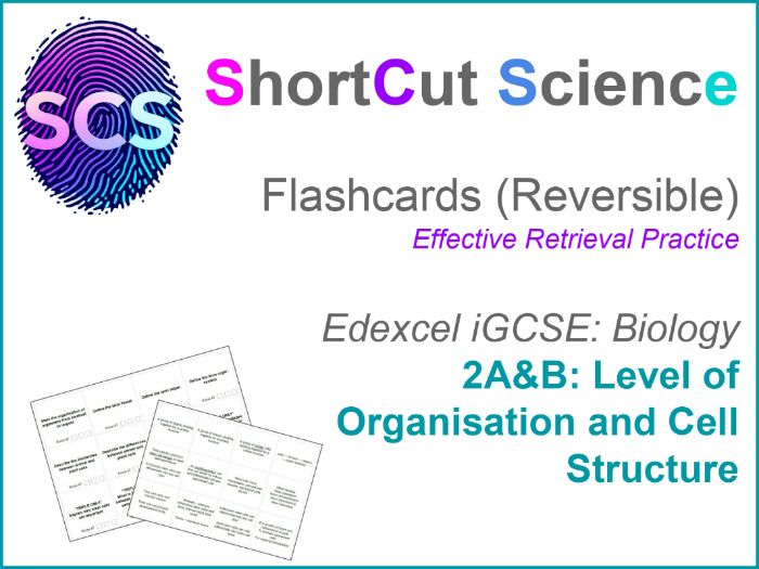 Flashcards Biology IGCSE Edexcel: Cell Structure