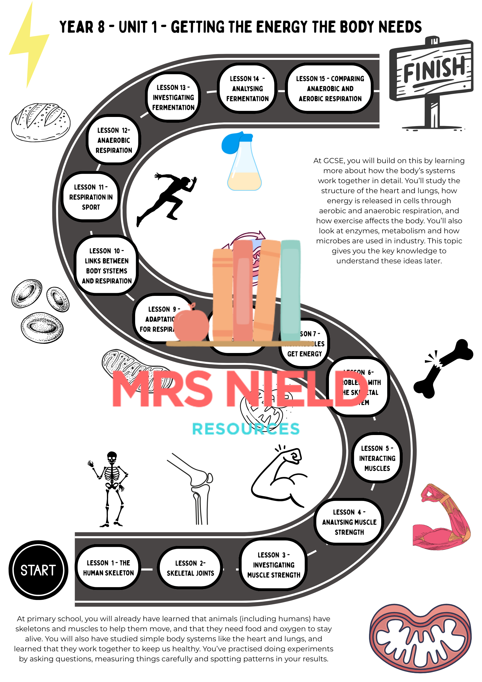 Skeletal Muscle Aerobic And Strength Training Skeletal Muscle