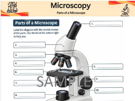 GCSE Biology: Cell Biology Practical's Bundle - AQA & Edexcel (Microscopy & Microbiology)