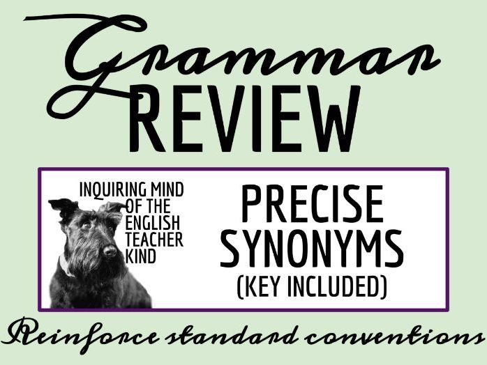 Grammar Worksheet on Precise Language with Synonyms | Connotation vs. Denotation