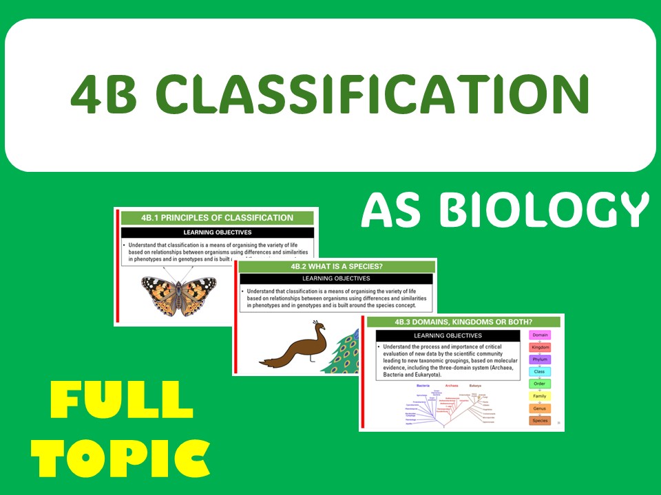4B Classification - AS FULL TOPIC