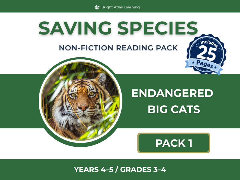 Endangered Big Cats Pack | KS2 | Y4–5
