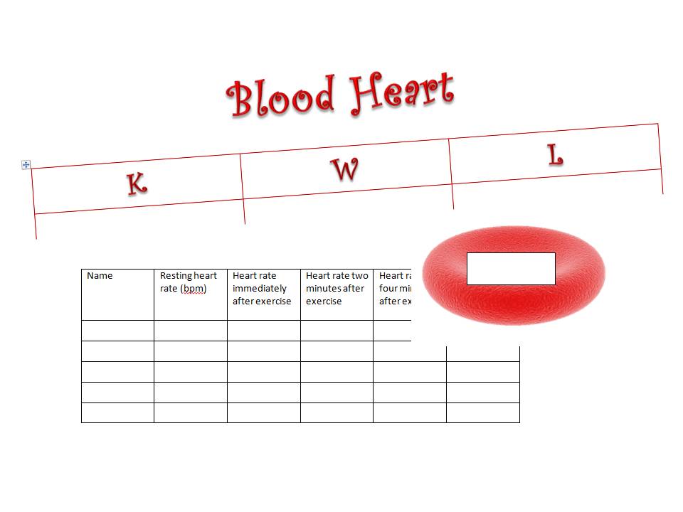 Bundle of resources for Science Topic on Circulation Blood and Heart