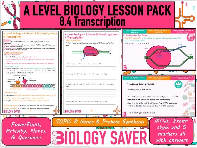 A Level Bio Lesson - 8.4 Transcription