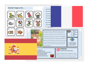 Pets (French & Spanish) – Ready-to-teach