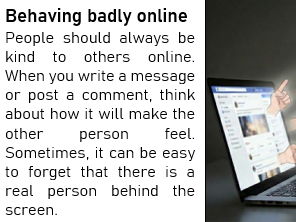 Online behaviour reading comp - ESOL E3