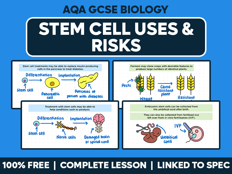GCSE AQA Biology Complete Lesson - Stem Cell Uses and Risks