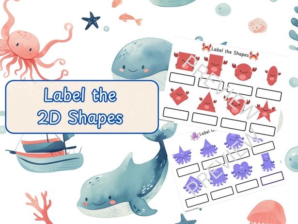 Ocean Label the 2D shapes