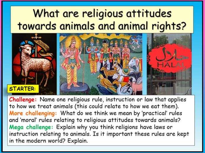 Religion and Animal Rights