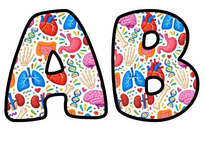 Human Body Organs Bubble Letters | Science Topic Bulletin Board Letters | Classroom Display Pack