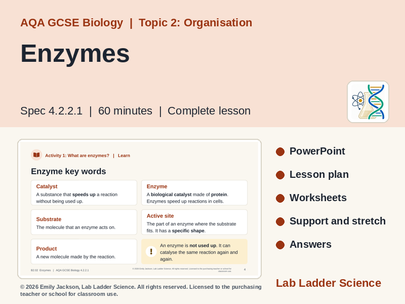 B2-02 Enzymes, Lock & Key Model: AQA GCSE Biology
