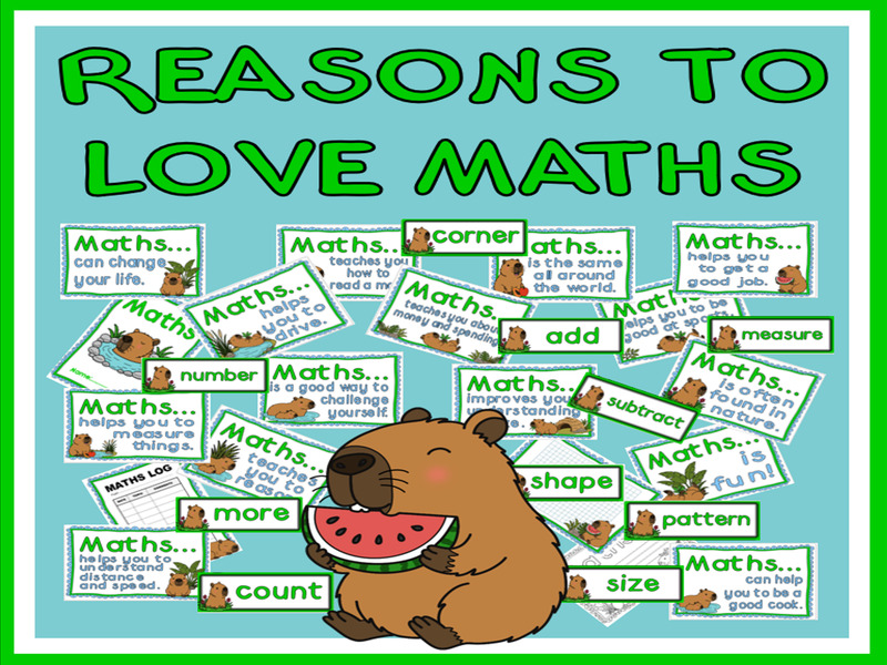 Reasons to Love Maths - display, capybara theme.
