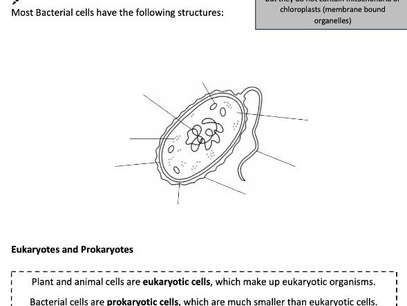 AQA Cell biology Sample student booklet