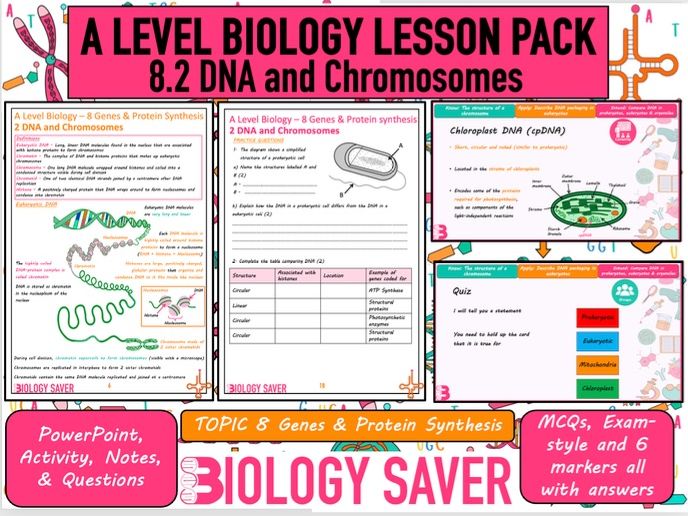 A Level Bio Lesson - 8.2 DNA & Chromosomes