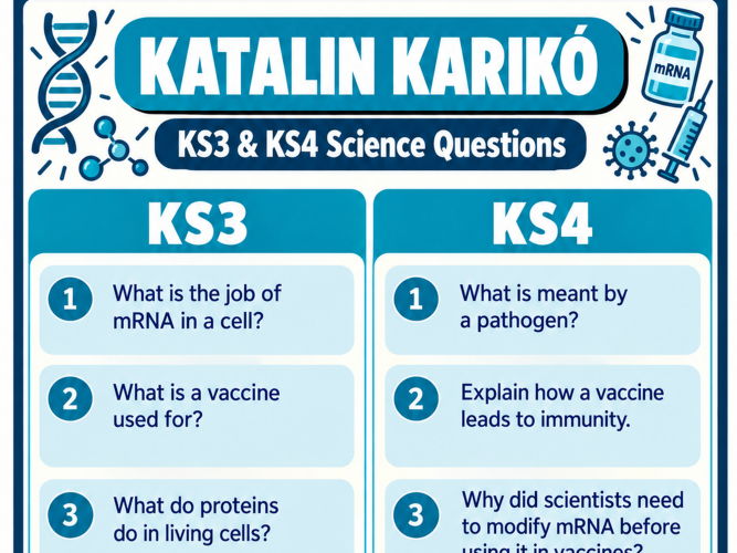Scientist of the Week - Katalin Karikó. A3 Science Posters, Vocabulary & KS3/KS4 Questions