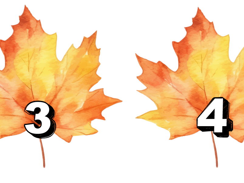 EYFS Autumn Leaves counting 1-10
