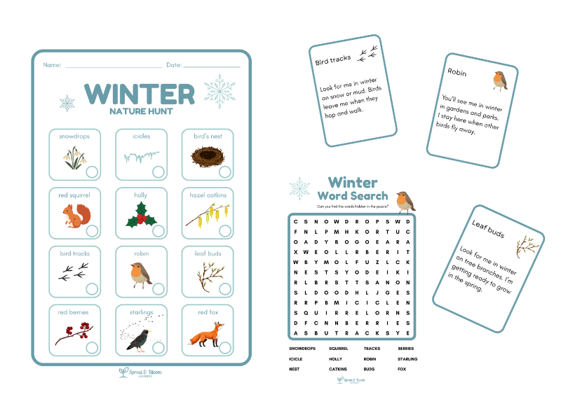 Winter Nature Hunt | Outdoor Learning Activity |KS1 & EYFS Seasonal Science