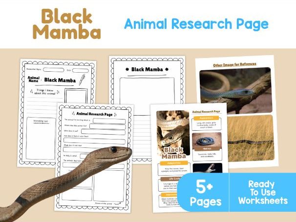 Black Mamba Fact File | African Snakes and Reptile Habitats