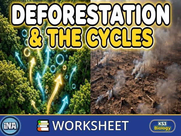 Deforestation and the Carbon and Water Cycles - KS3 Biology Worksheet