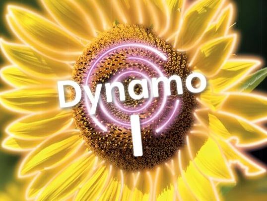 Dynamo 1. Complete Course. Modules 1-5