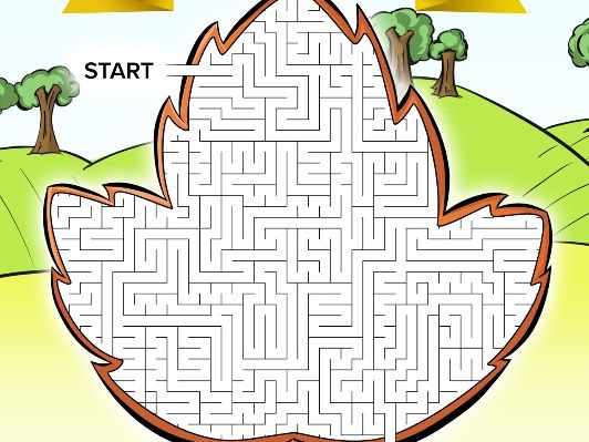 Fall Leaf Maze