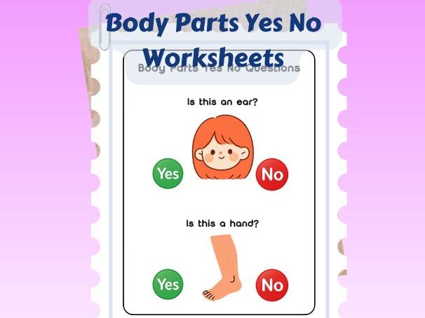 Body Parts Yes No Questions | EYFS SEND Speech Therapy No Prep