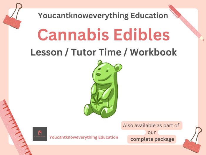 Cannabis Edibles Lesson PSHE 2026