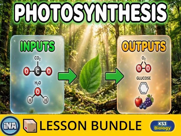 Photosynthesis - Complete KS3 Biology Lesson Pack