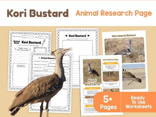 Kori Bustard Fact File | African Birds and Savanna Habitats