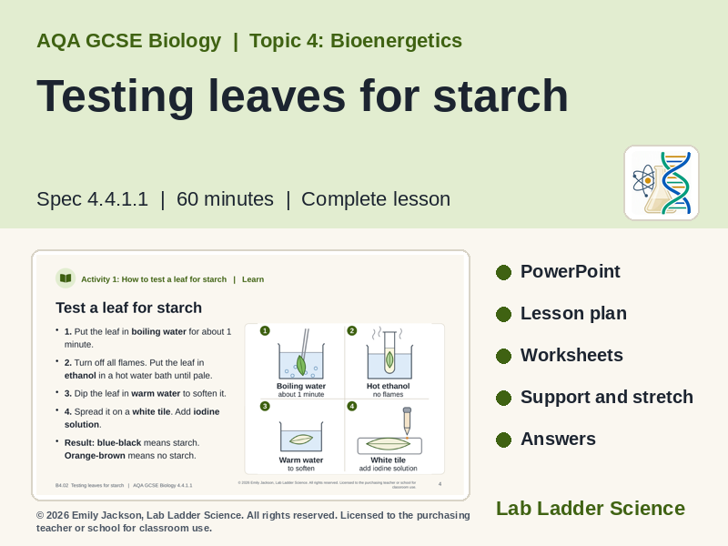 B4-02 Testing Leaves for Starch: AQA GCSE Biology