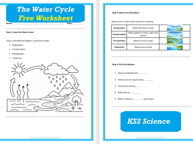 FREE Water Cycle Worksheet KS2 | Science Activity