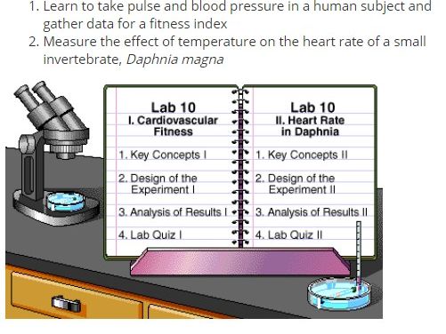 Intro to Circulatory System Lab Simulation