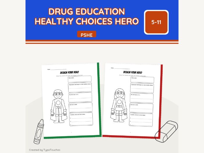 Drug Education Healthy Choices Hero | 12 pp