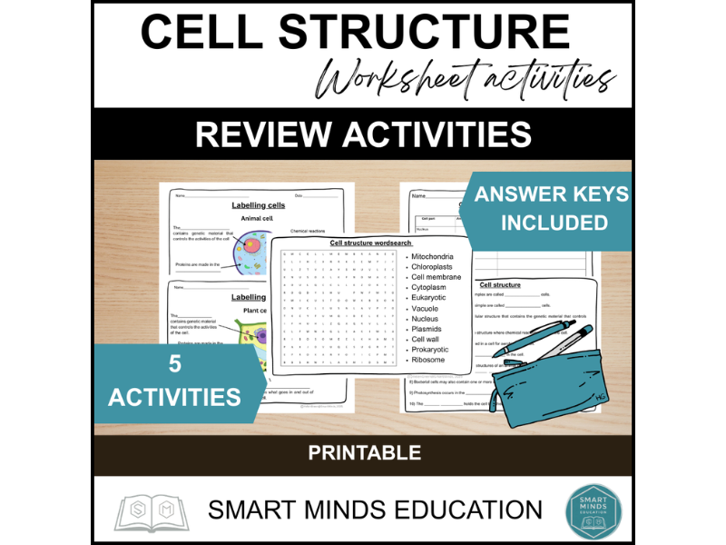 PLANT AND ANIMAL CELL STRUCTURE ACTIVITY WORKSHEETS