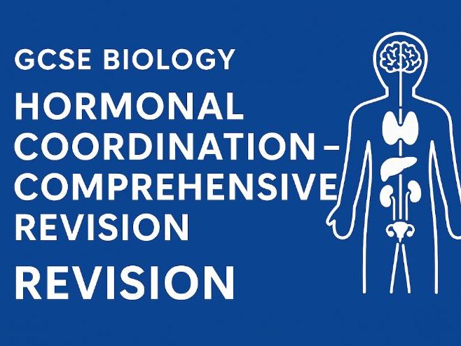 GCSE Hormonal Coordination Activity & MS